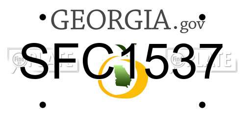 SFC1537 Georgia License Plate