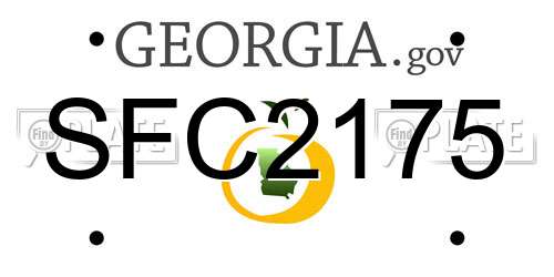 SFC2175 Georgia License Plate