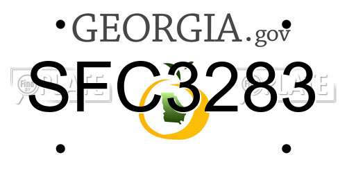 SFC3283 Georgia License Plate