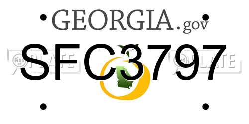 SFC3797 Georgia License Plate