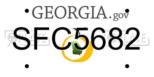 SFC5682 Georgia License Plate