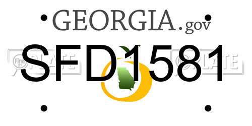 SFD1581 Georgia License Plate