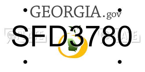 SFD3780 Georgia License Plate