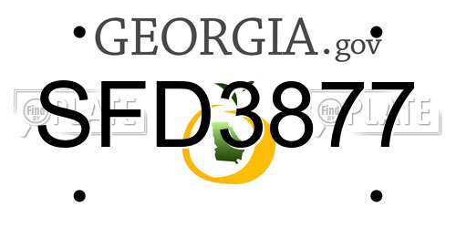 SFD3877 Georgia License Plate