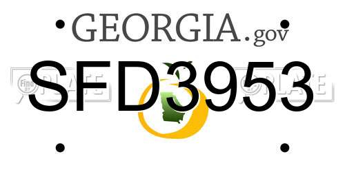SFD3953 Georgia License Plate