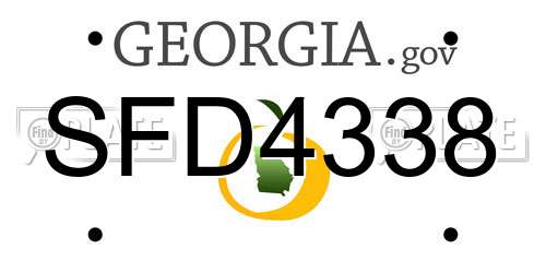 SFD4338 Georgia License Plate