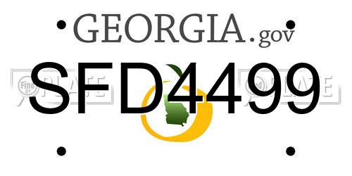 SFD4499 Georgia License Plate