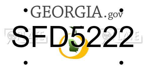 SFD5222 Georgia License Plate