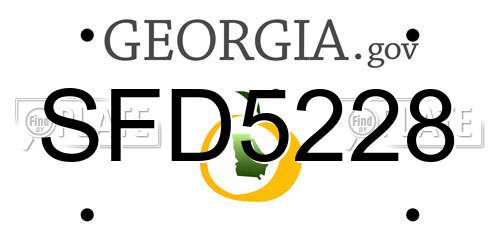 SFD5228 Georgia License Plate