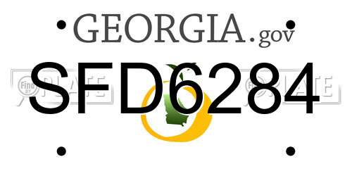 SFD6284 Georgia License Plate