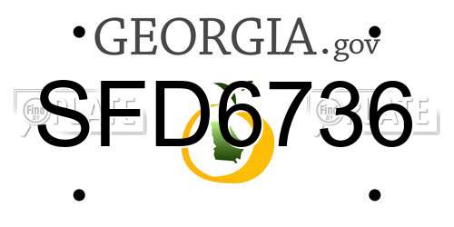 SFD6736 Georgia License Plate