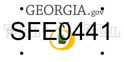 SFE0441 Georgia License Plate