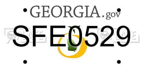 SFE0529 Georgia License Plate