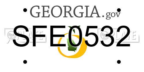 SFE0532 Georgia License Plate