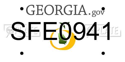 SFE0941 Georgia License Plate