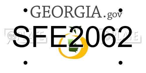 SFE2062 Georgia License Plate