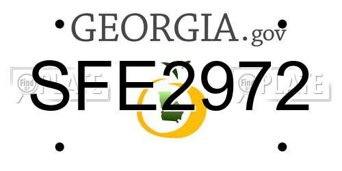 SFE2972 Georgia License Plate