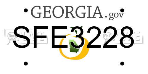 SFE3228 Georgia License Plate