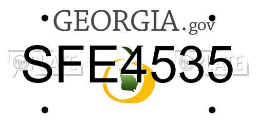 SFE4535 Georgia License Plate