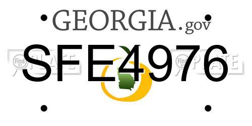SFE4976 Georgia License Plate