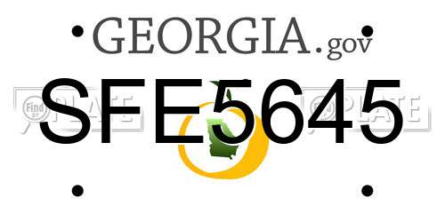 SFE5645 Georgia License Plate