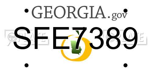 SFE7389 Georgia License Plate