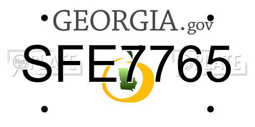 SFE7765 Georgia License Plate