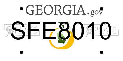 SFE8010 Georgia License Plate