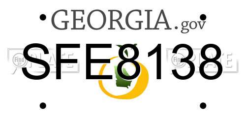 SFE8138 Georgia License Plate