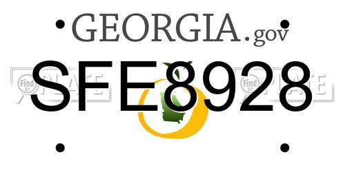 SFE8928 Georgia License Plate