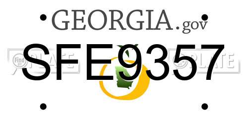 SFE9357 Georgia License Plate