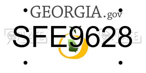 SFE9628 Georgia License Plate