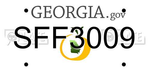 SFF3009 Georgia License Plate