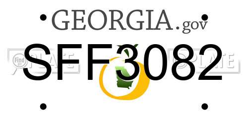SFF3082 Georgia License Plate