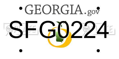 SFG0224 Georgia License Plate