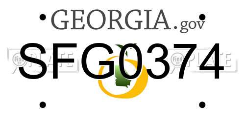SFG0374 Georgia License Plate