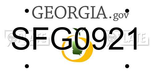 SFG0921 Georgia License Plate