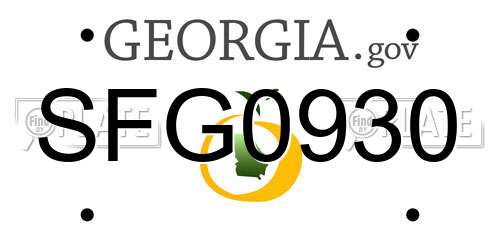 SFG0930 Georgia License Plate