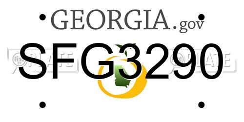 SFG3290 Georgia License Plate