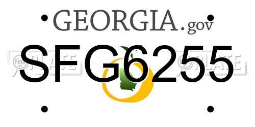 SFG6255 Georgia License Plate