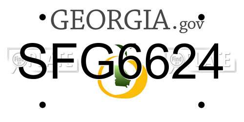 SFG6624 Georgia License Plate