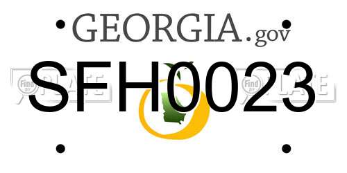 SFH0023 Georgia License Plate