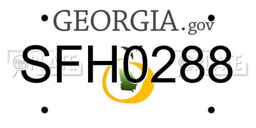 SFH0288 Georgia License Plate