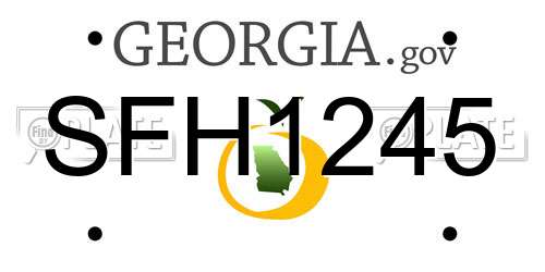 SFH1245 Georgia License Plate