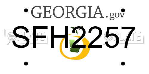 SFH2257 Georgia License Plate
