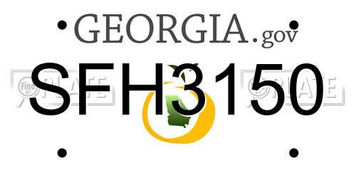 SFH3150 Georgia License Plate