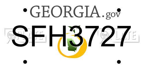 SFH3727 Georgia License Plate