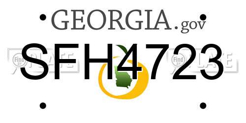 SFH4723 Georgia License Plate