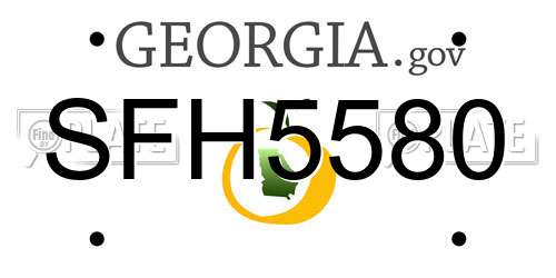 SFH5580 Georgia License Plate