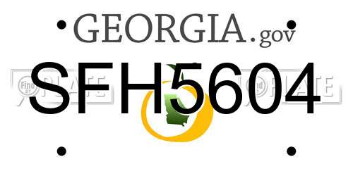 SFH5604 Georgia License Plate
